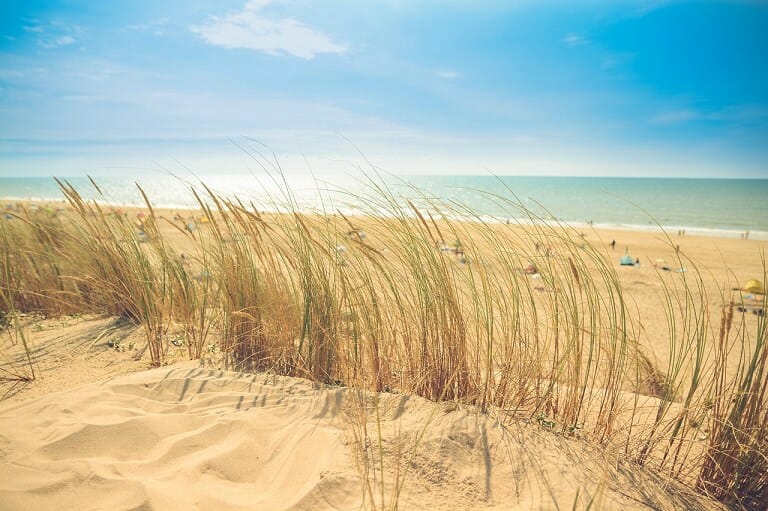 rome beaches Header