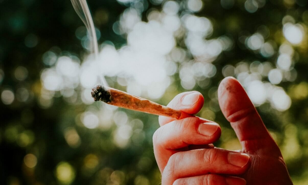 Is Weed Legal in Italy All About Weed Laws in Italy in 2021 Is Weed Legal in Italy All About Weed Laws in Italy in 2021